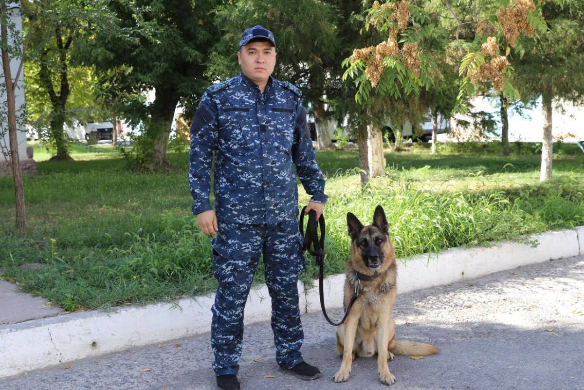 Убил брата за нравоучения. Беглеца задержала полицейская собака в Шымкенте