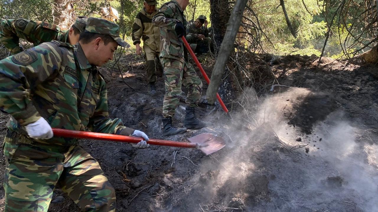 В горах Алматинского Государственного природного заповедника тление торфа ликвидировано