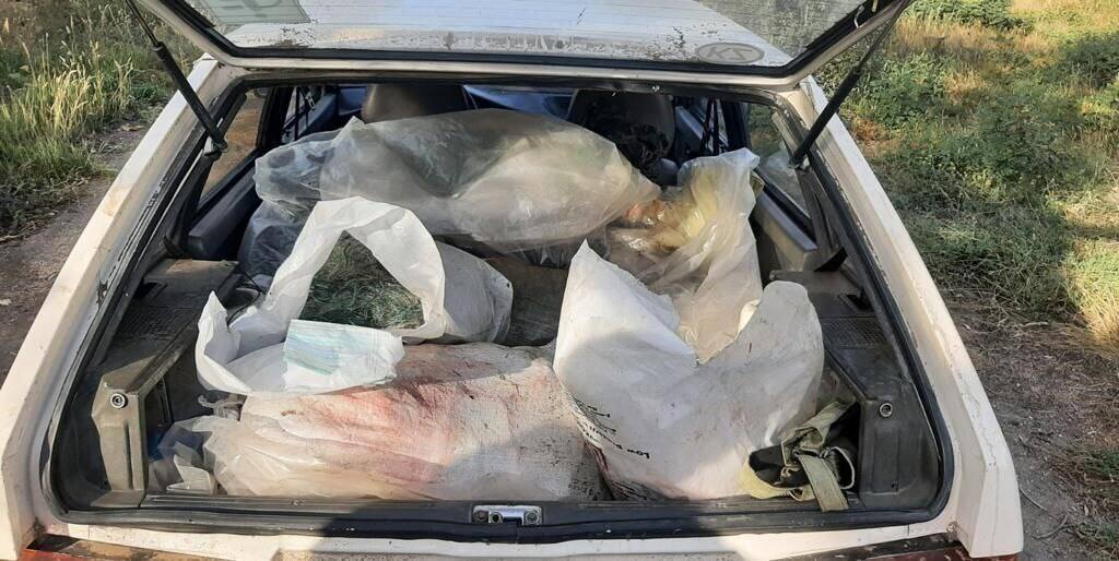 186 кг карасей обнаружили в авто у жителя Павлодарской области