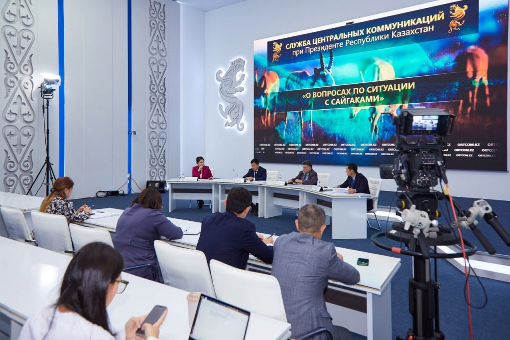 Численность сайгаков в Казахстане к концу года прогнозируется в 2,6 млн особей
