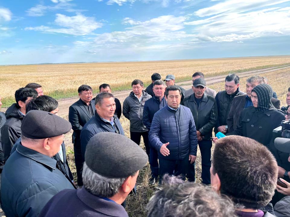 Проблемы аграриев: Дожди затрудняют уборку пшеницы в Акмолинской области