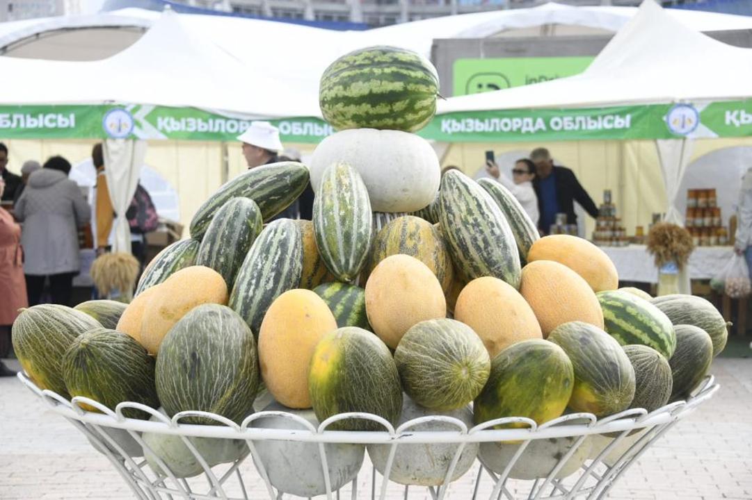 Ярмарка из Кызылорды: 500 тонн продукции по сниженным ценам