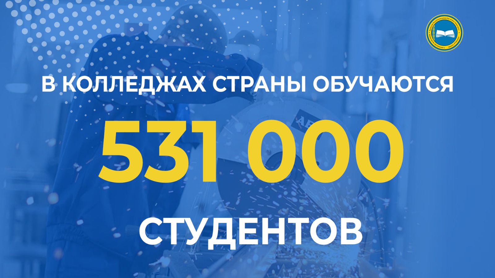 Обучение в 772 колледжах: количество студентов и формы финансирования