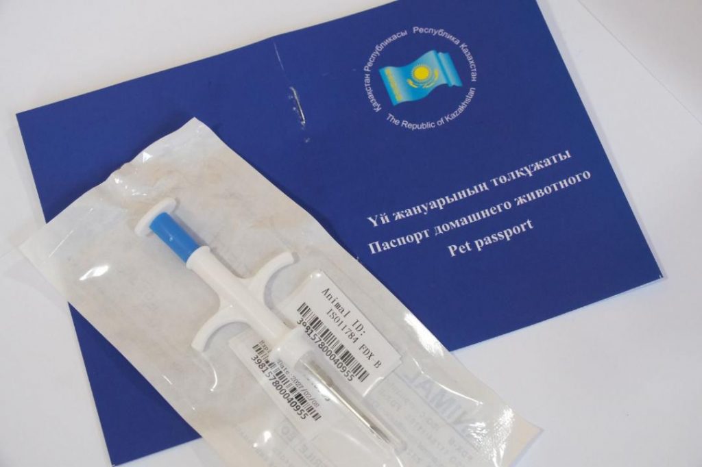 Алматы предлагает бесплатное чипирование и регистрацию домашних питомцев
