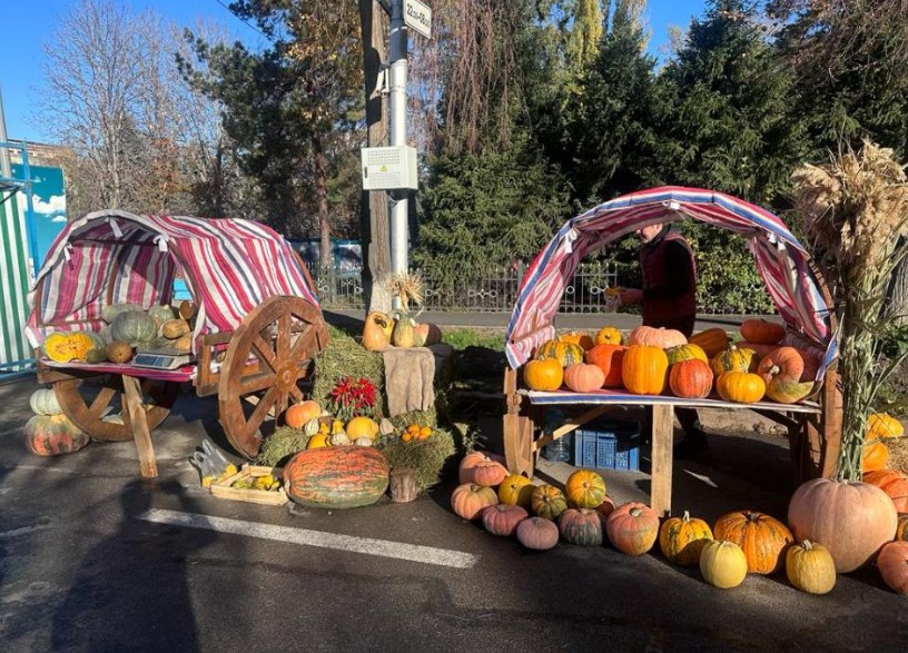 Продукты от фермеров: Алматы готовится к сельскохозяйственной ярмарке