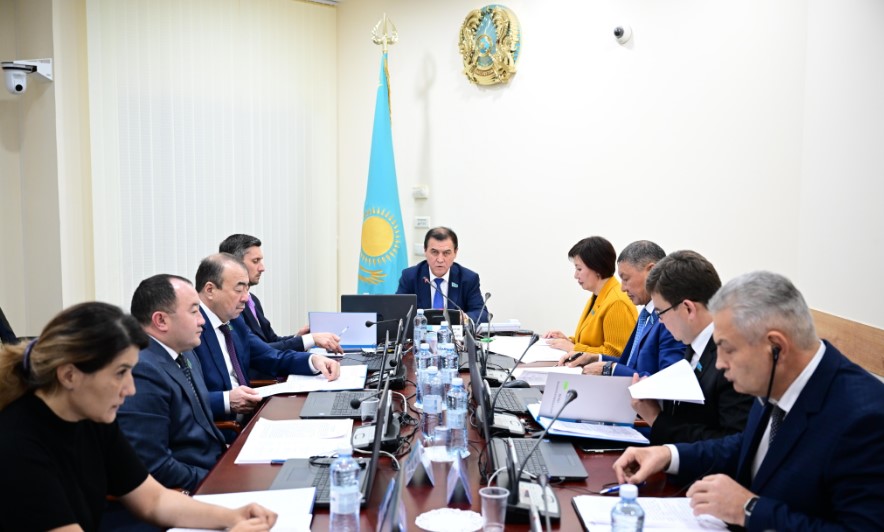 Сенат Казахстана рассматривает закон о миграционном обмене с Китаем