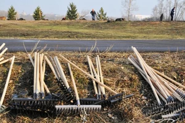 В Алматы состоится общегородской субботник «Жаңа Қазақстан. Таза табиғат»