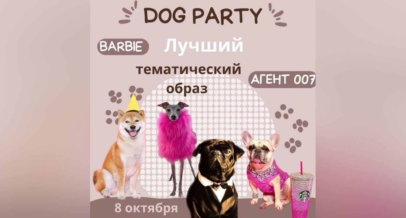 Вечеринка  с питомцем: в Караганде пройдёт  дог-пати