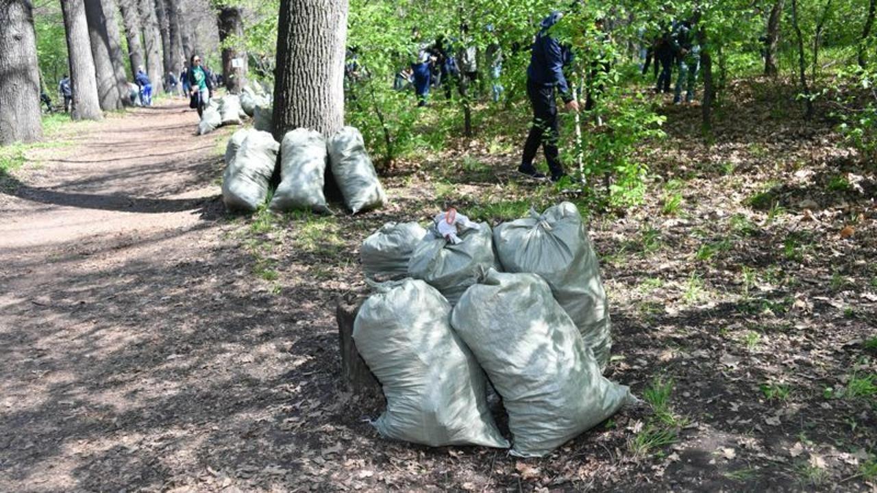 «Жаңа Қазақстан. Таза табиғат»: В Алматы пройдёт общегородской субботник