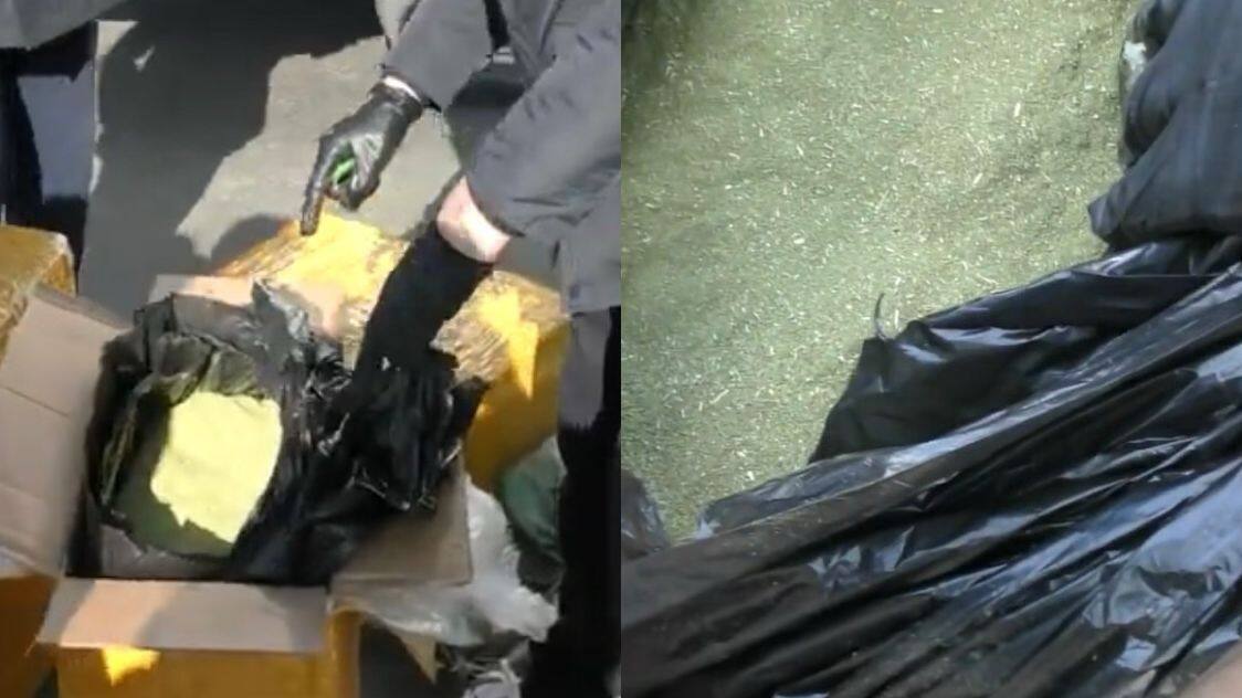 Спецоперация в Алматы: 151 кг гашиша изъят на въезде в мегаполис