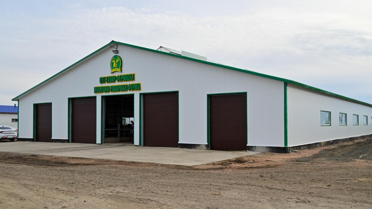 Итоги года: продовольственная безопасность и развитие АПК, новые производства и поддержка сельхозтоваропроизводителей