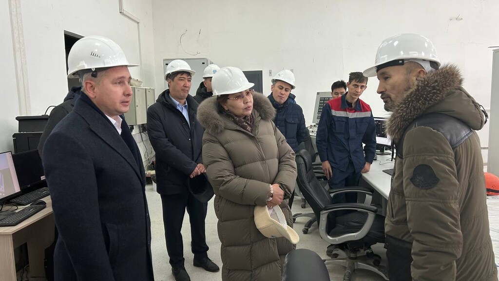 Сенаторы обсудили теплоэнергетику и инфраструктуру столицы