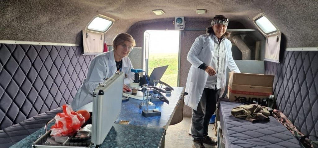 Тайны Золотой Орды: Исследование и популяризация наследия Казахстана