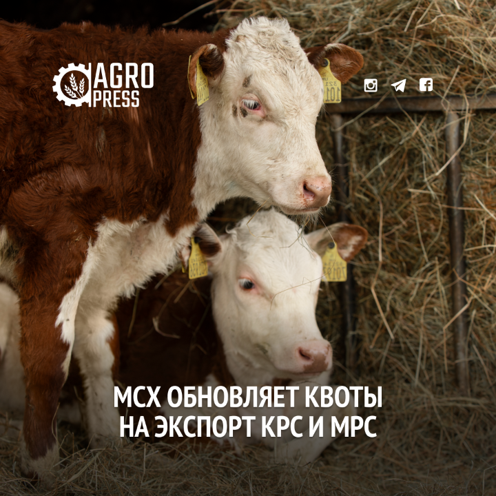 МСХ обновляет квоты на экспорт КРС и МРС