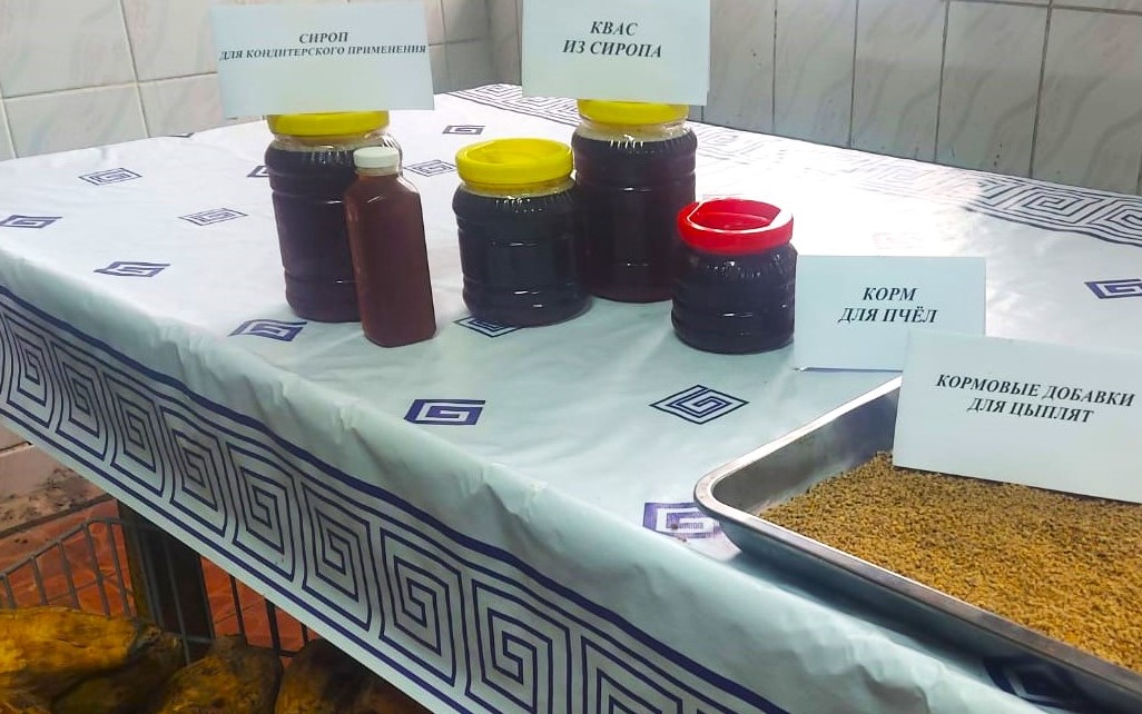 В области Жетысу наладили производство 4 видов продукции  из сахарной свеклы