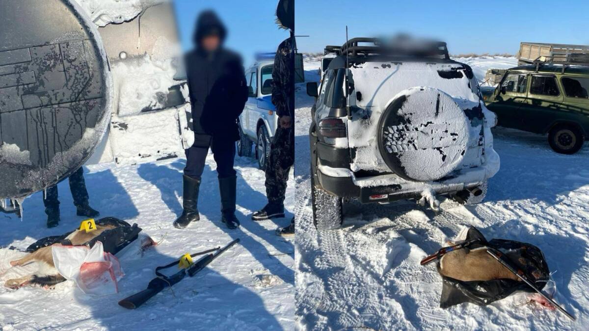 Мужчину, стрелявшего в джейрана, задержали в Жамбылской области