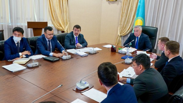 Наука и производство: костанайскую породу лошадей возрождают в РК
