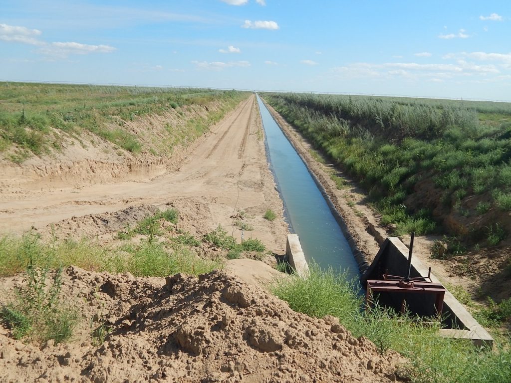 Урожаи вопреки засухе