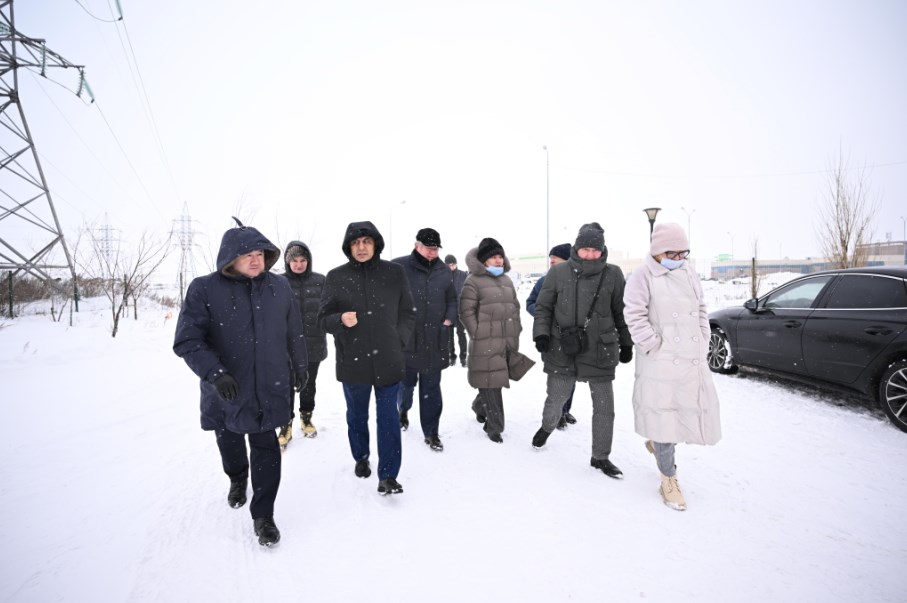 Законопроект о защите животных: сенаторы рассказали об изменениях