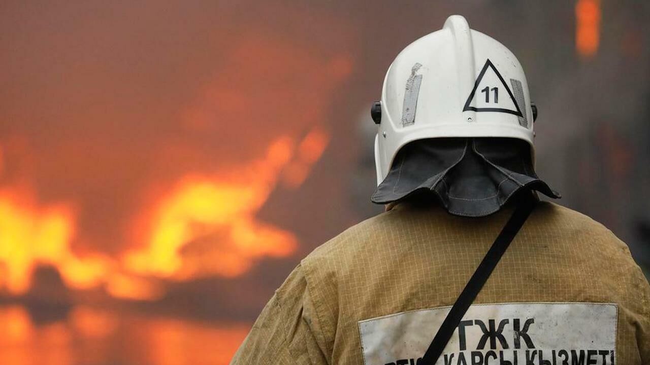 Госорганы представят отчет о профилактике лесных пожаров
