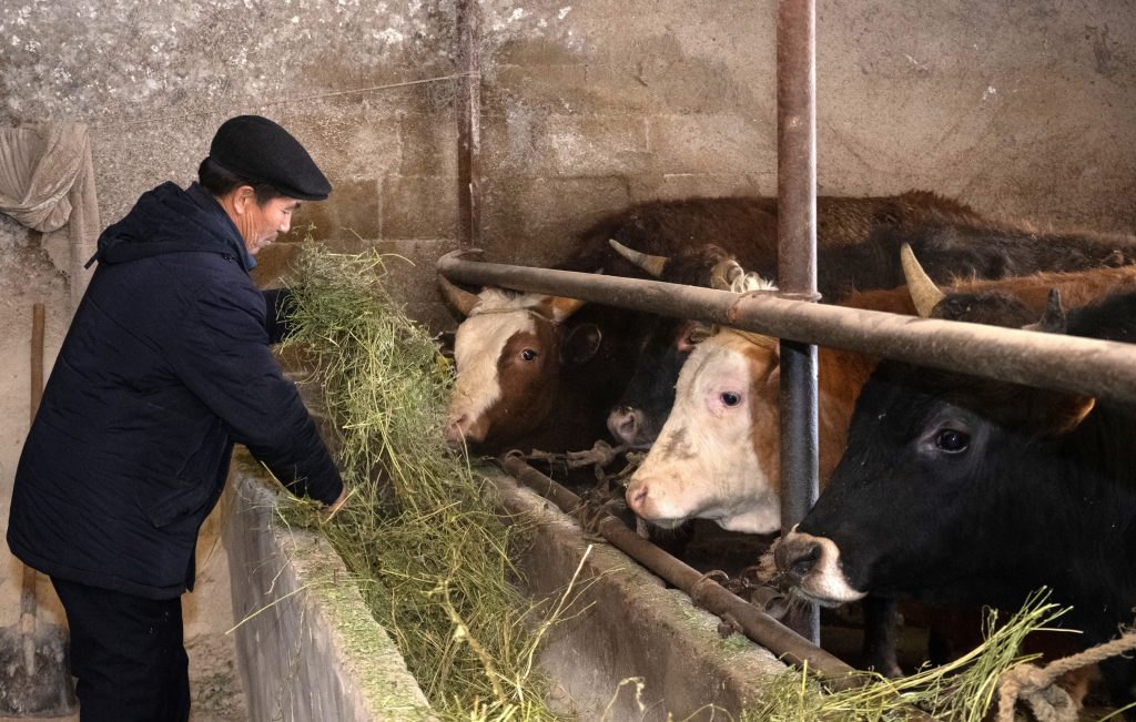 «Ауыл аманаты» помогает развитию сельского хозяйства и бизнеса  в селах Жетысу