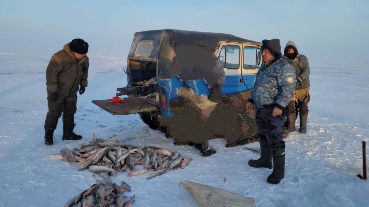 Более 120 кг незаконно добытой рыбы изъяли у браконьера в Жетісу