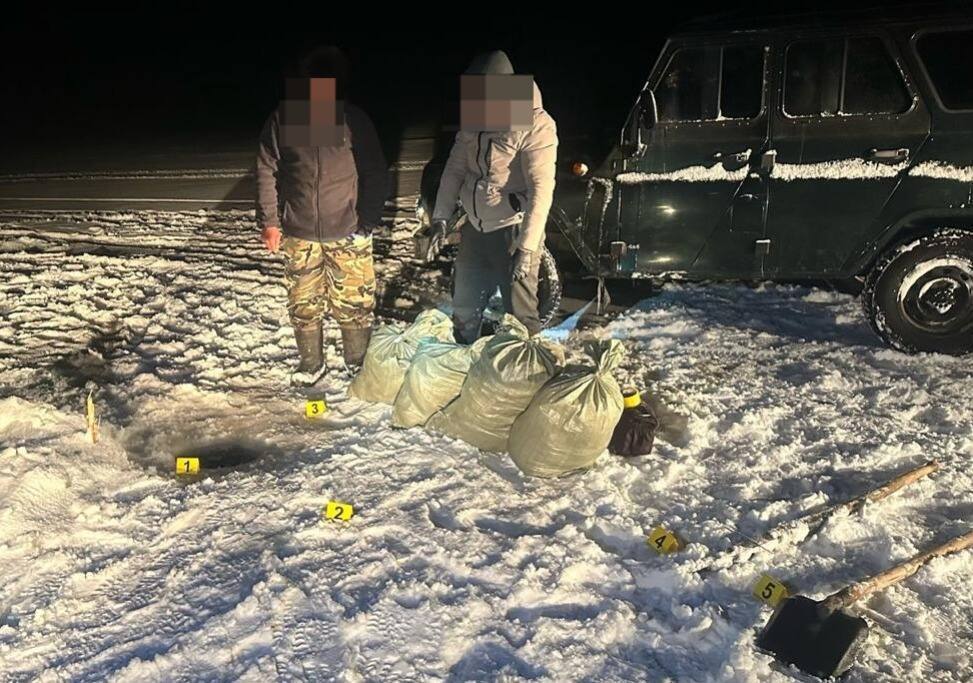 Браконьера, перевозившего рыбу, задержали в Карагандинской области