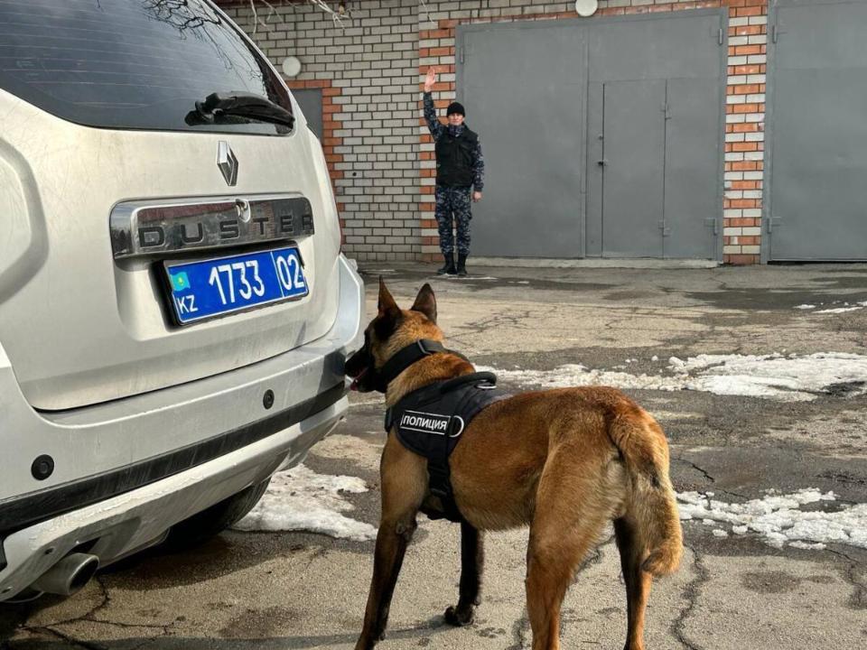 Кинологи МВД прошли очередные курсы повышения квалификации