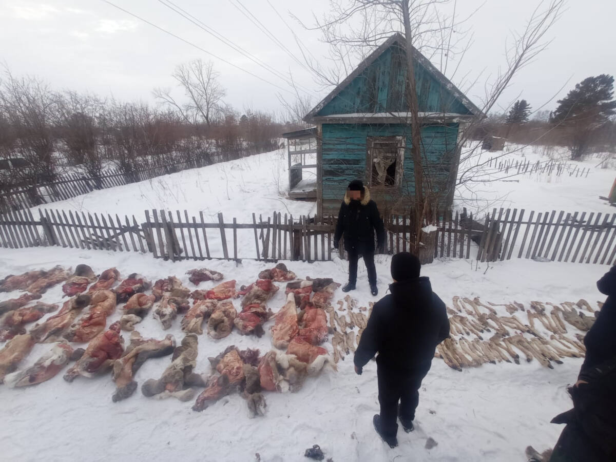 В СКО осуждена группа браконьеров, задержанных год назад
