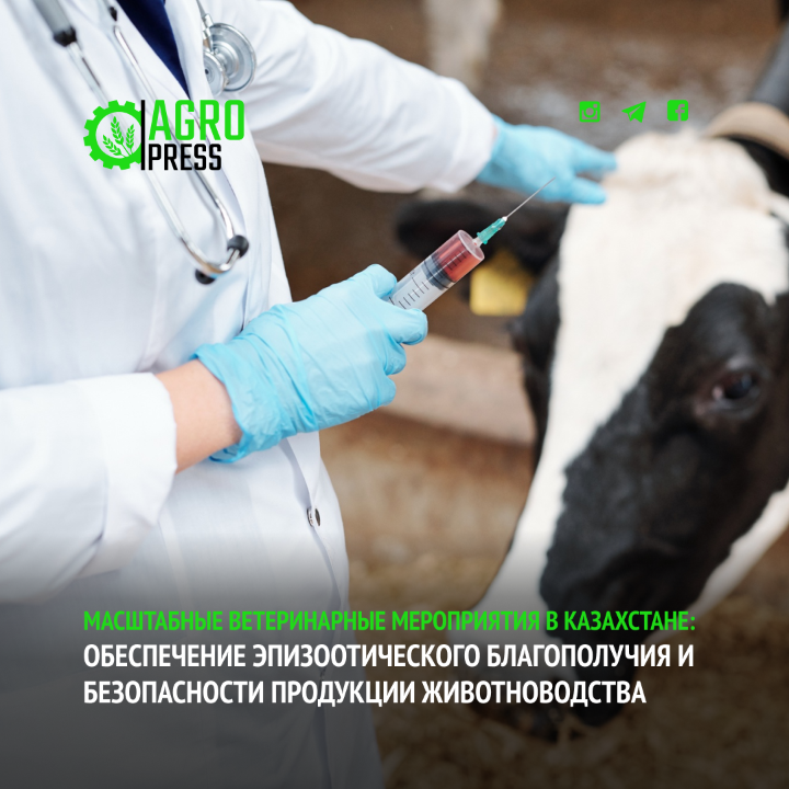 В стране начались обширные весенние ветеринарно-профилактические мероприятия