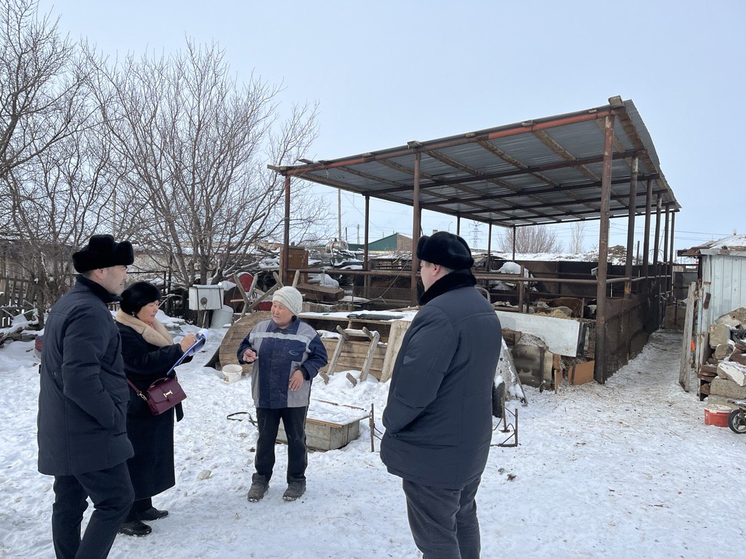 Бюро национальной статистики выявило расхождения адмданных по поголовью скота