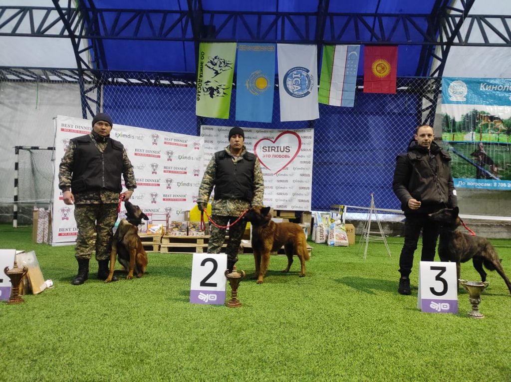 Гвардейские собаки выступили на международной выставке