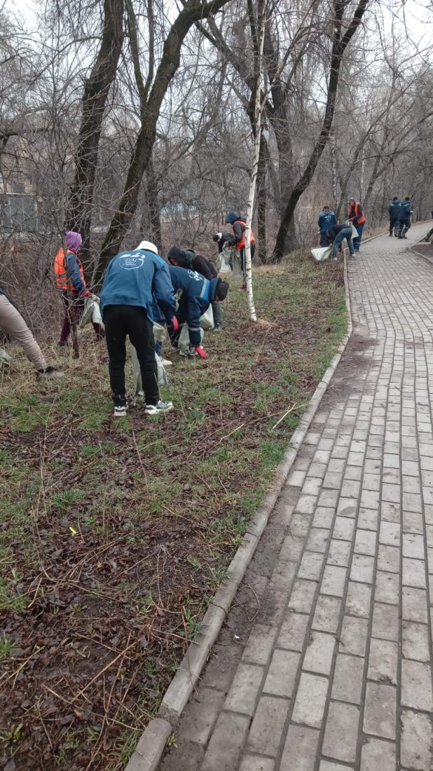 Более полутора тысяч человек приняли участие в общенациональной эко-акции «Тазару»