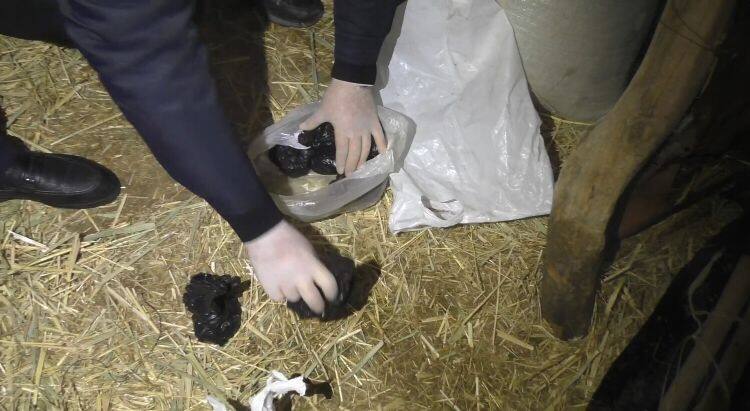 Крупную партию марихуаны и гашиша изъяла полиция у жителя Жамбылской области