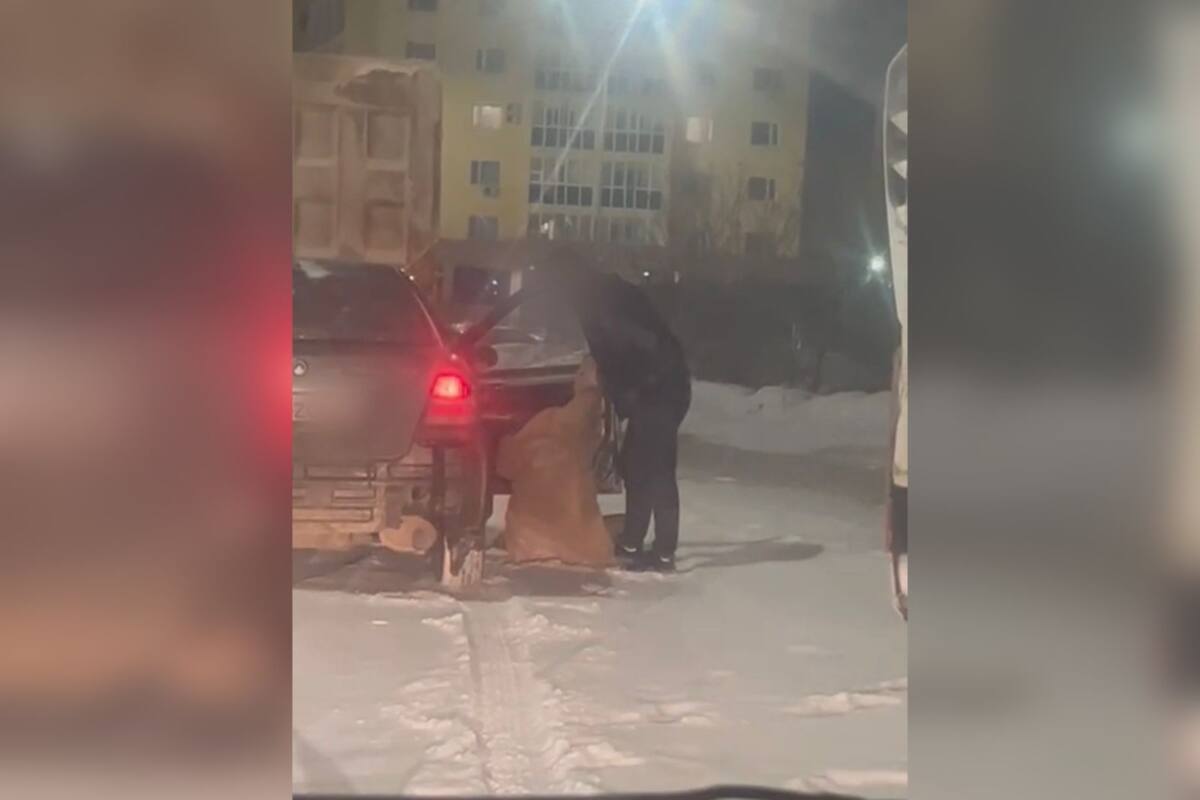 Пьяный водитель устроил ссору с супругой на дороге в Астане