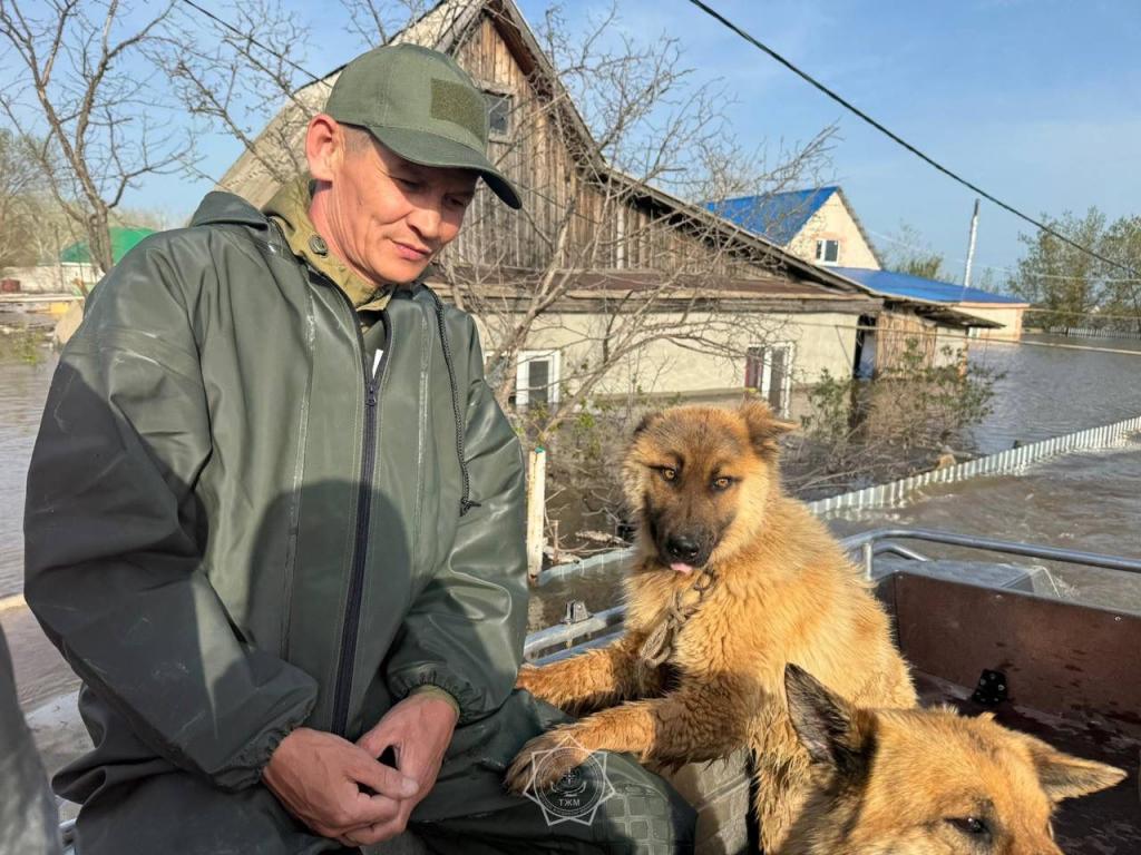 Паводковая ситуация в Западно-Казахстанской области
