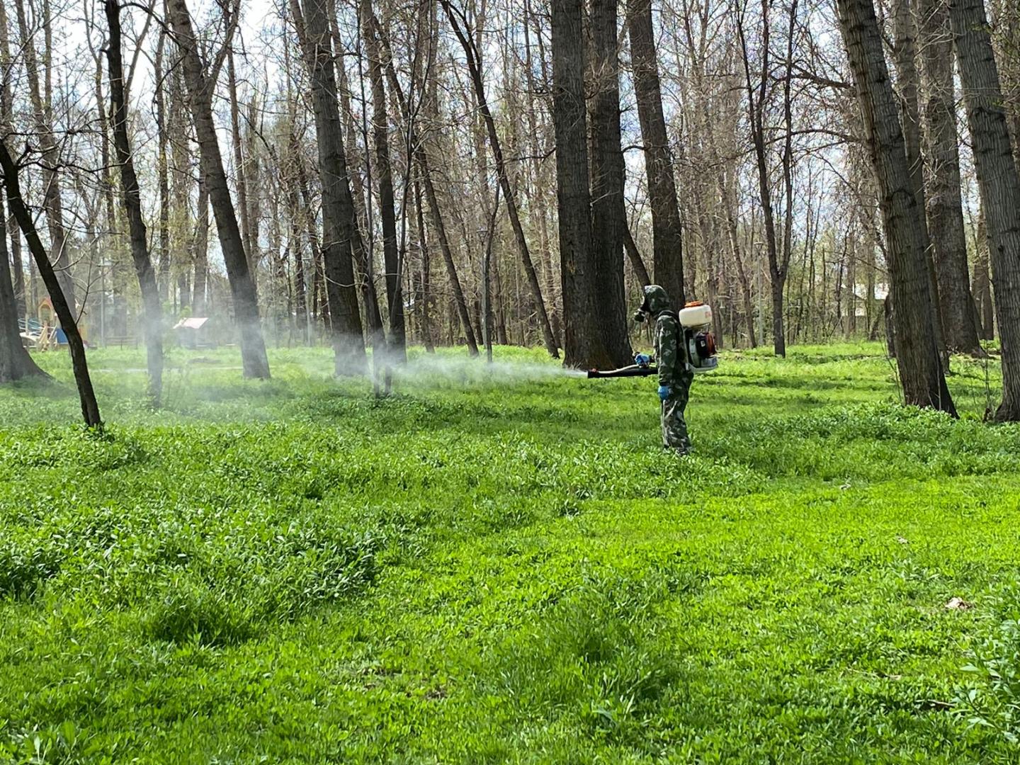 На сегодня в Жетісу обработано 210 га территорий против клещевой инфекции