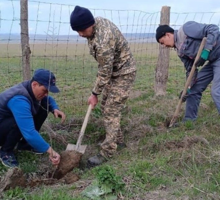 Началась неделя "Жасыл аймақ"
