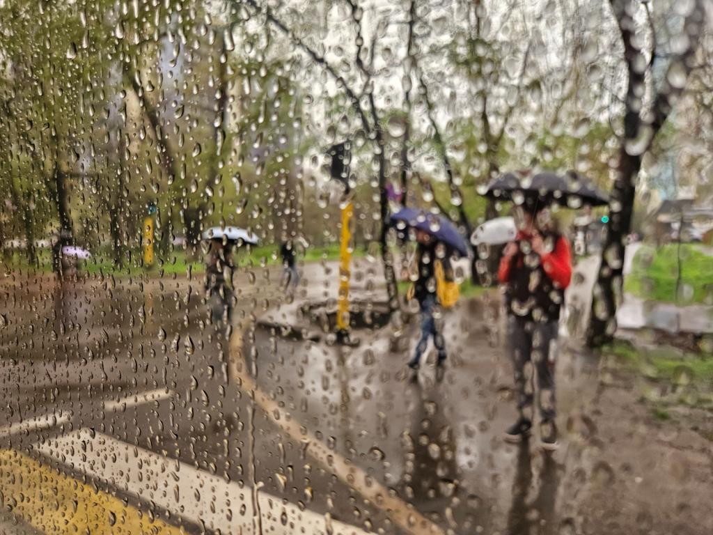 В Алматы пройдут продолжительные дожди