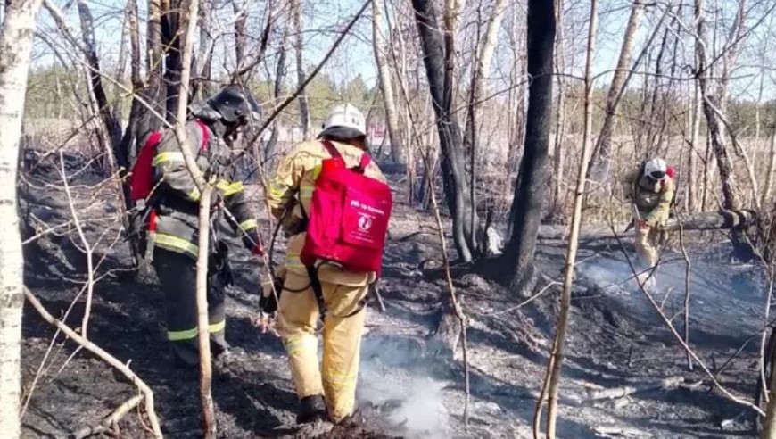 Ликвидирован пожар в Дмитревском лесничестве