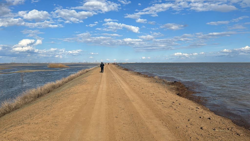 Угроза населенным пунктам Каражар и Акмол устранена
