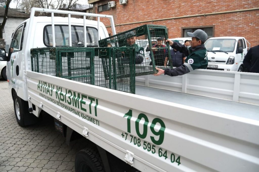 В ветеринарной службе Алматы обновили автопарк