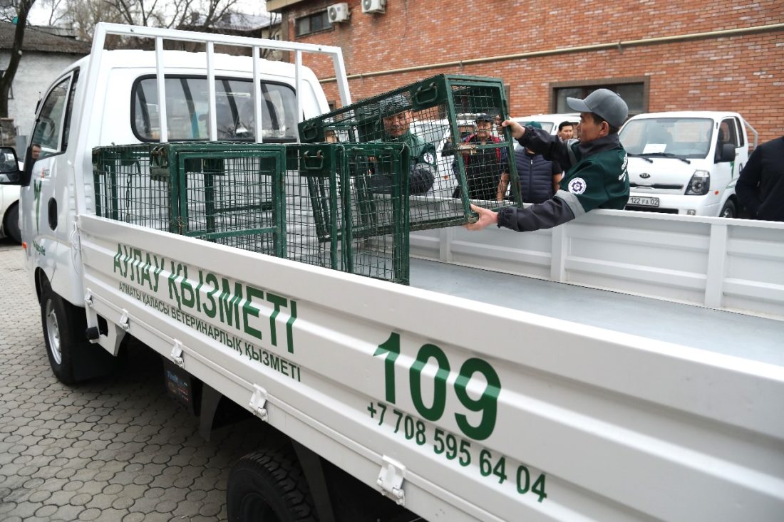 В ветеринарной службе Алматы обновили автопарк