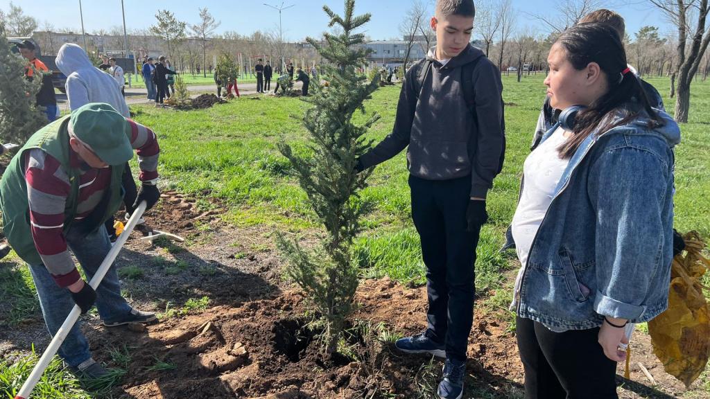 Более 90 тысяч саженцев посадят  в городах и районах Карагандинской области