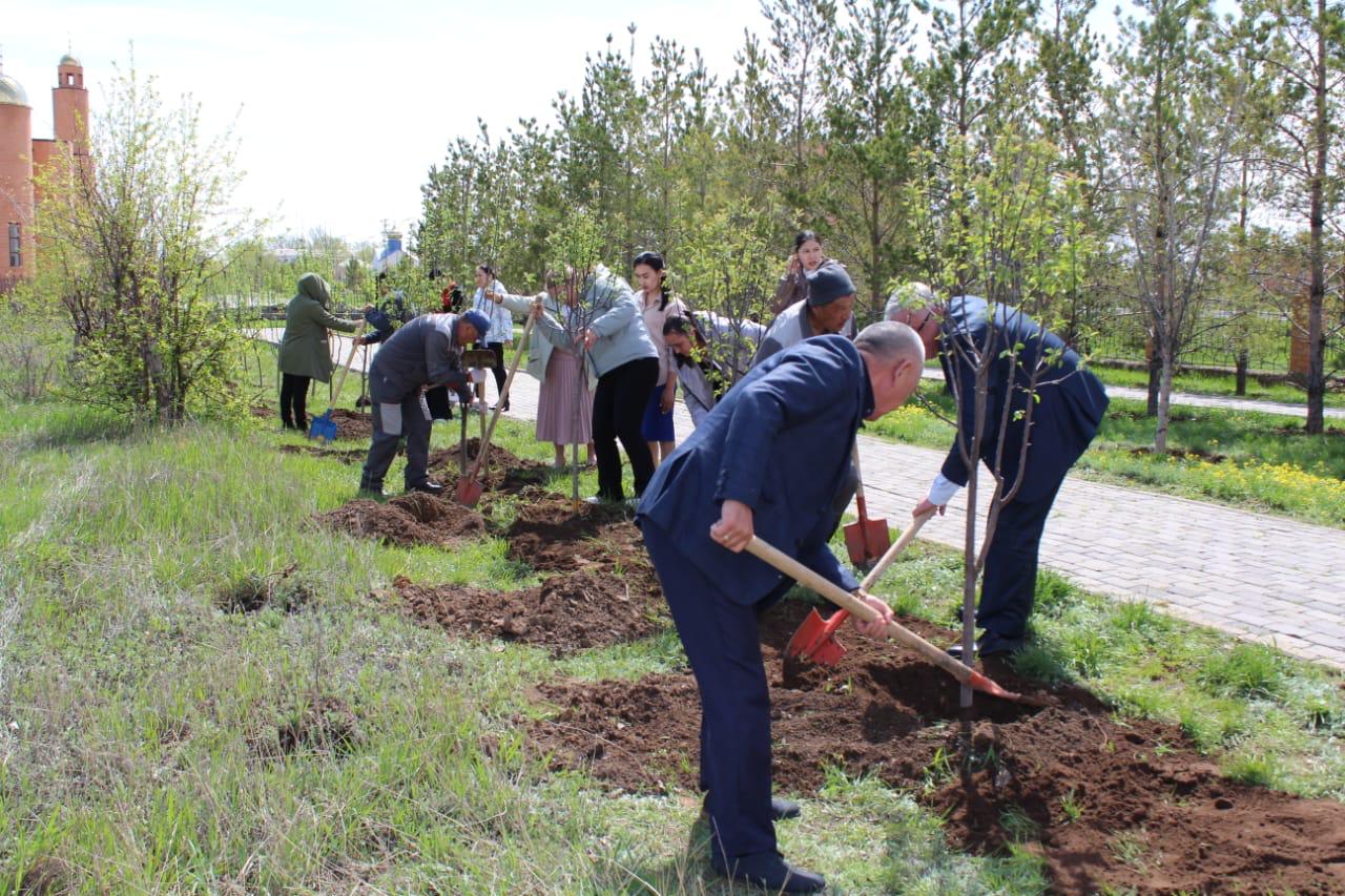 Яблони высадили во время экоакции в парке Алаш