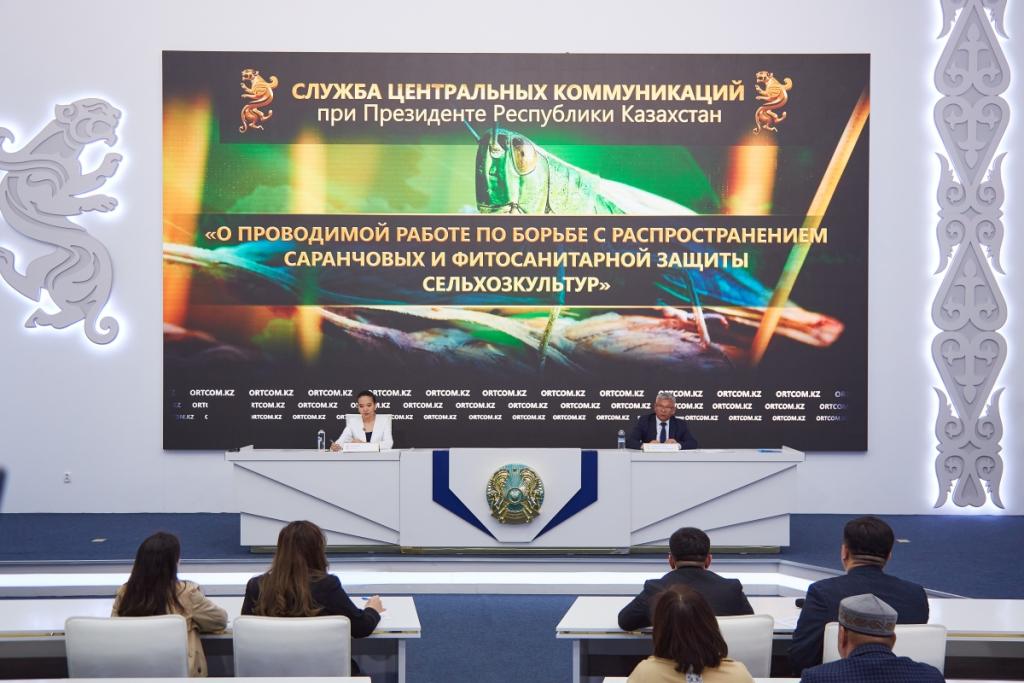 В 2024 году прогнозируется распространение стадных саранчовых вредителей на площади 2,5 млн га