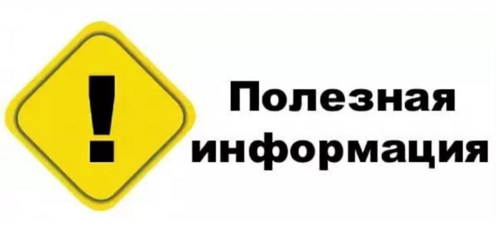 В Казахстане продолжается прием заявок на первую в стране онлайн-школу для молодых кураторов