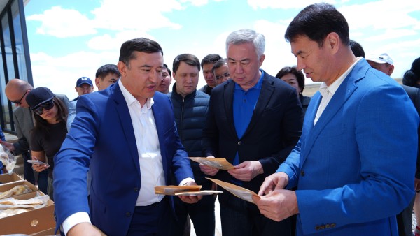 Первую откормплощадку по австралийскому методу запустят в этом году Туркестанской области