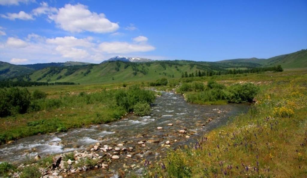 Паводковые воды спасут озеро Тораңғы в Курчумском районе