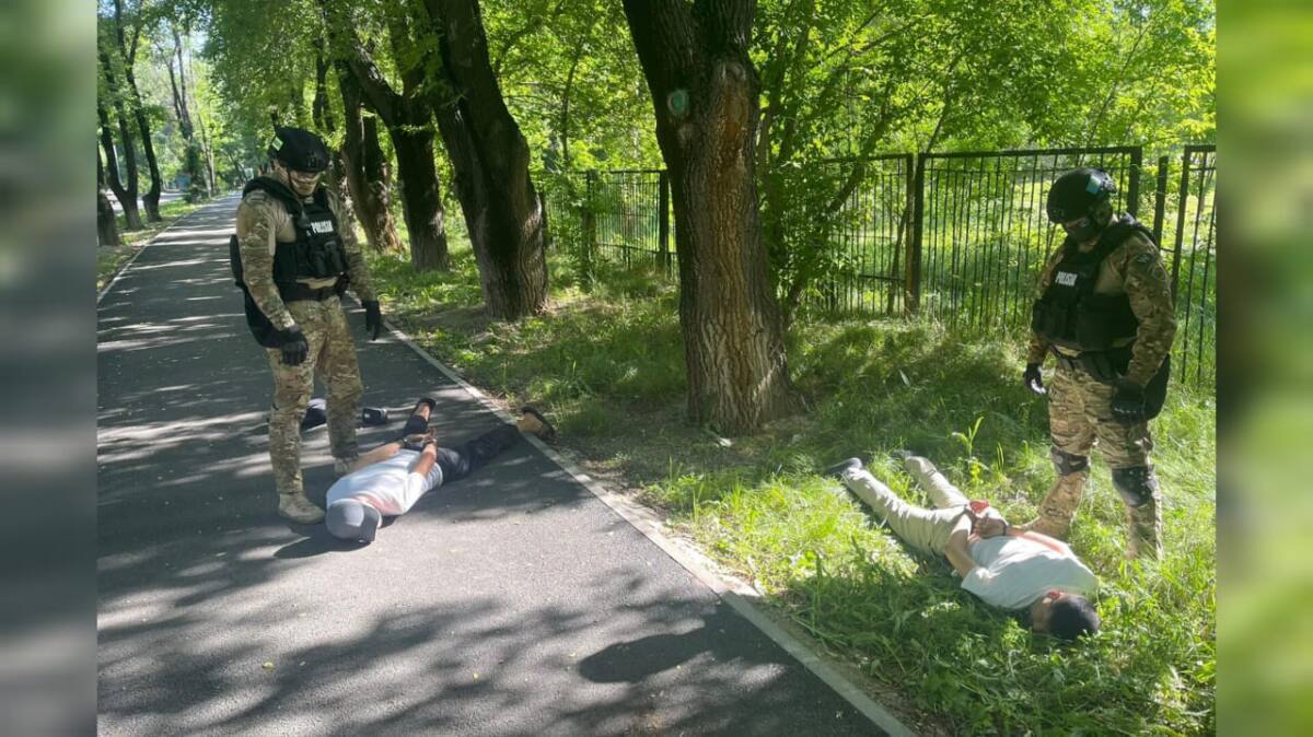 Дуэт домушников задержан полицией Алматы